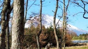 12月14日の富士山