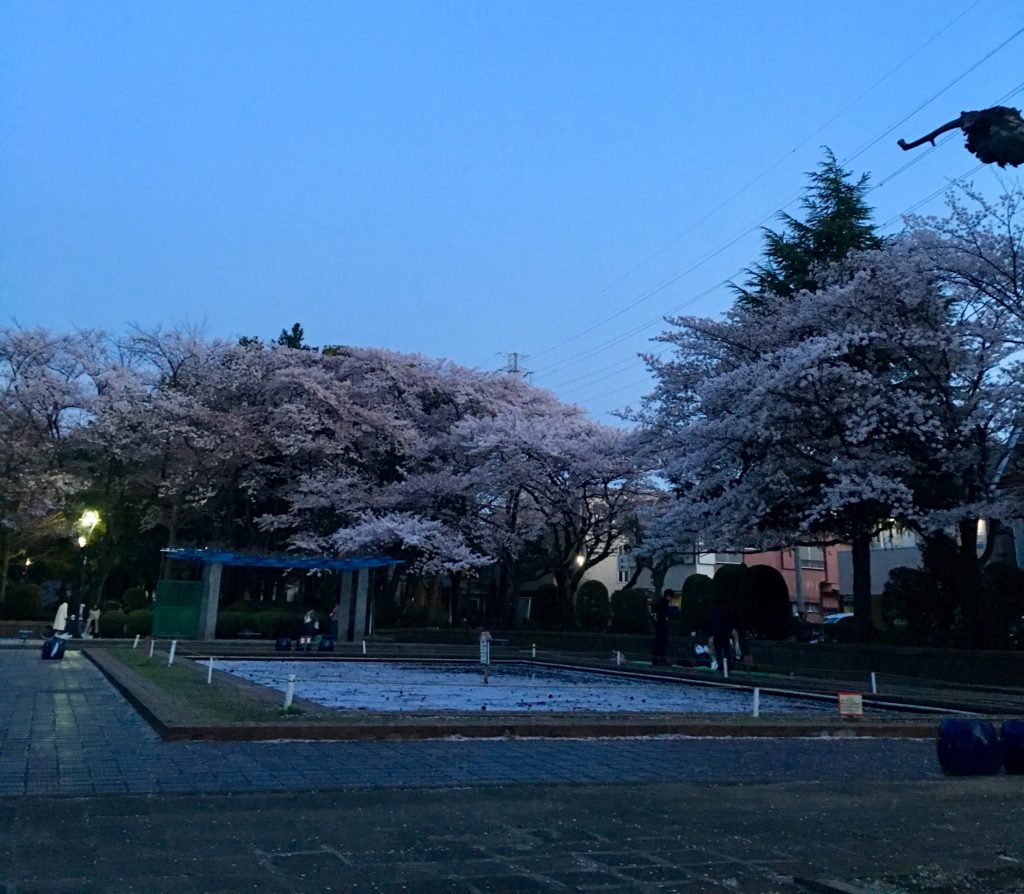 鹿沼公園