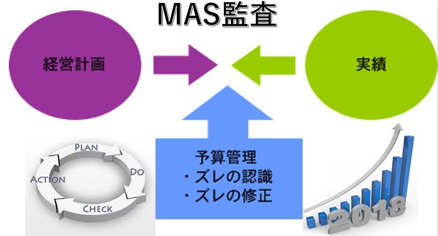 MAS監査