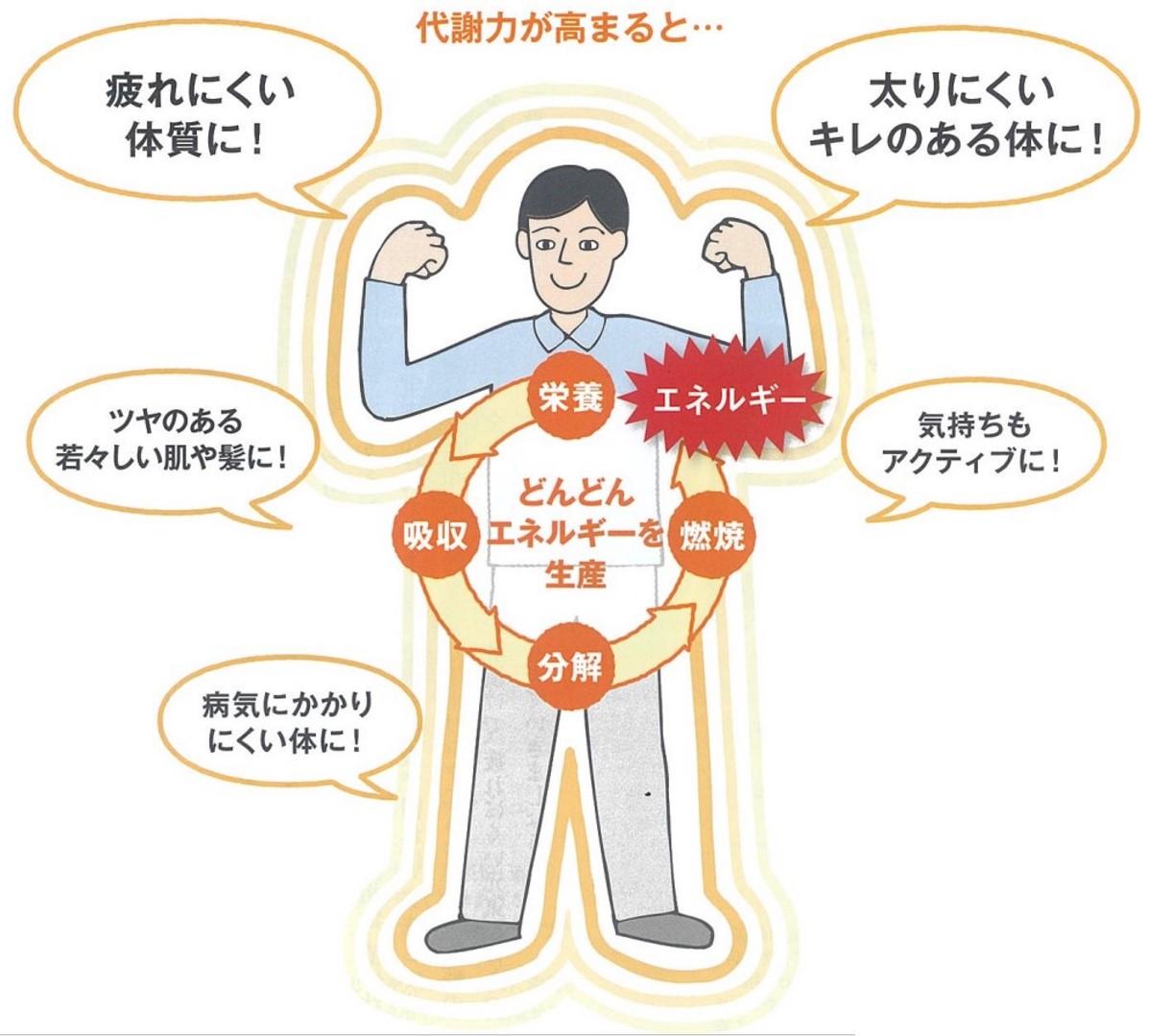 太らない!疲れない!決め手は代謝力」（1185号）・・健康経営優良
