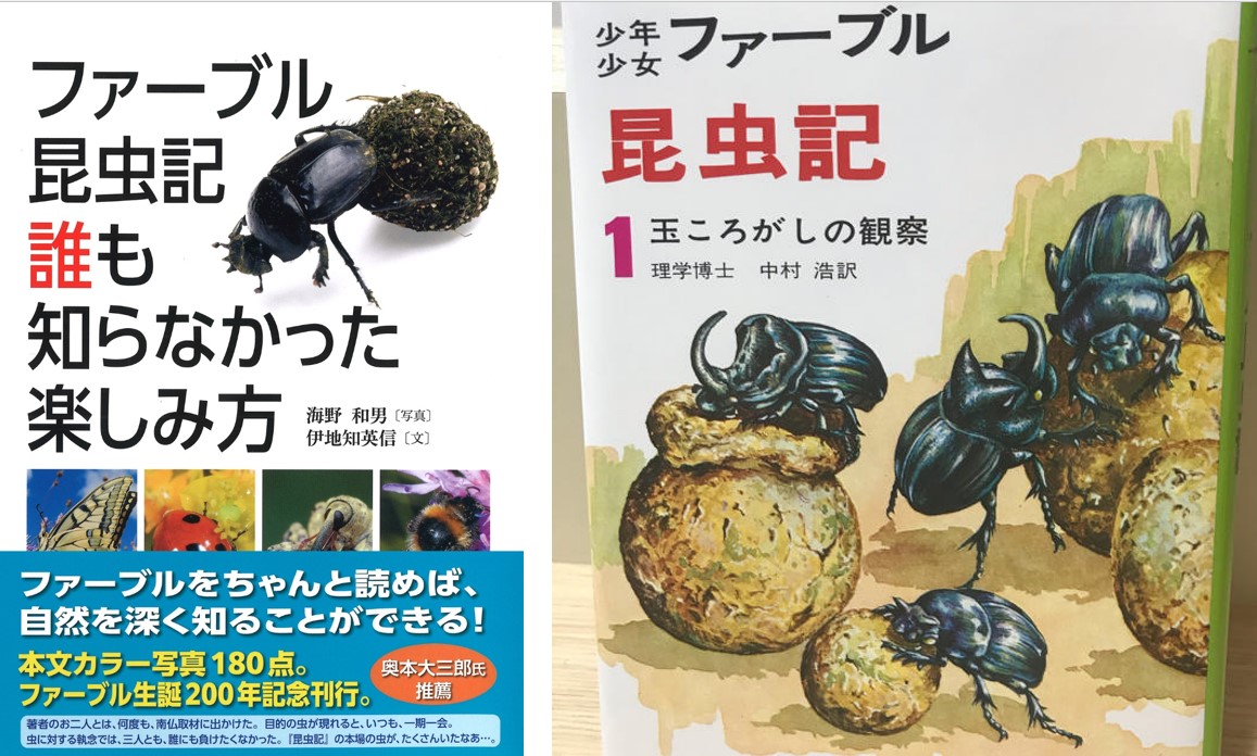 ファーブル生誕200年・大人の昆虫ガイド・・」（1322号
