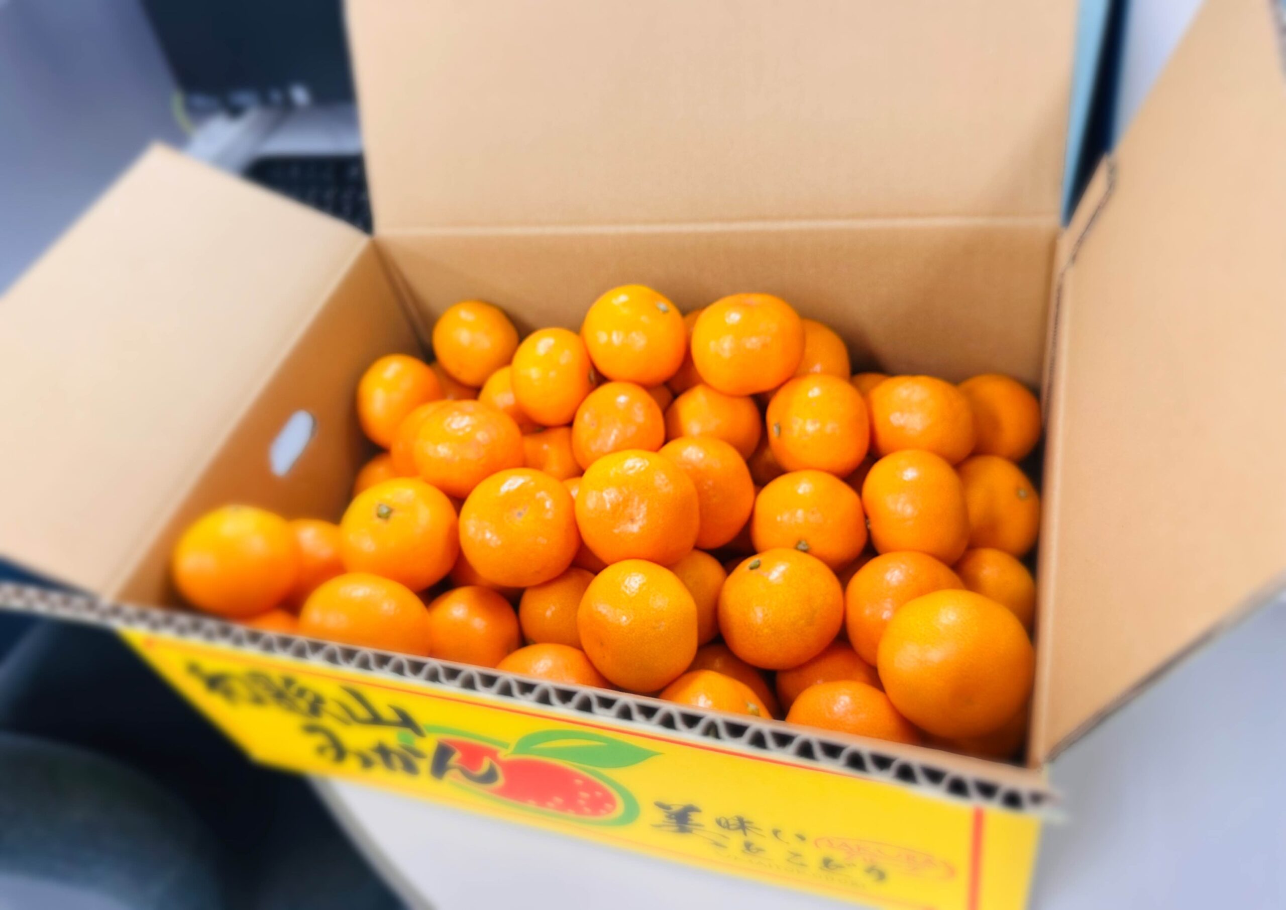 アザエンジニアリングの健康経営：和歌山県産みかん🍊の提供